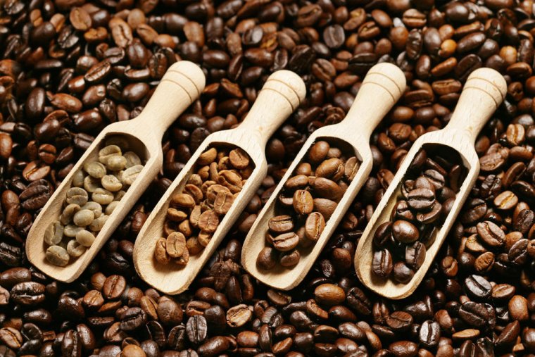 Degustace plantážních káv